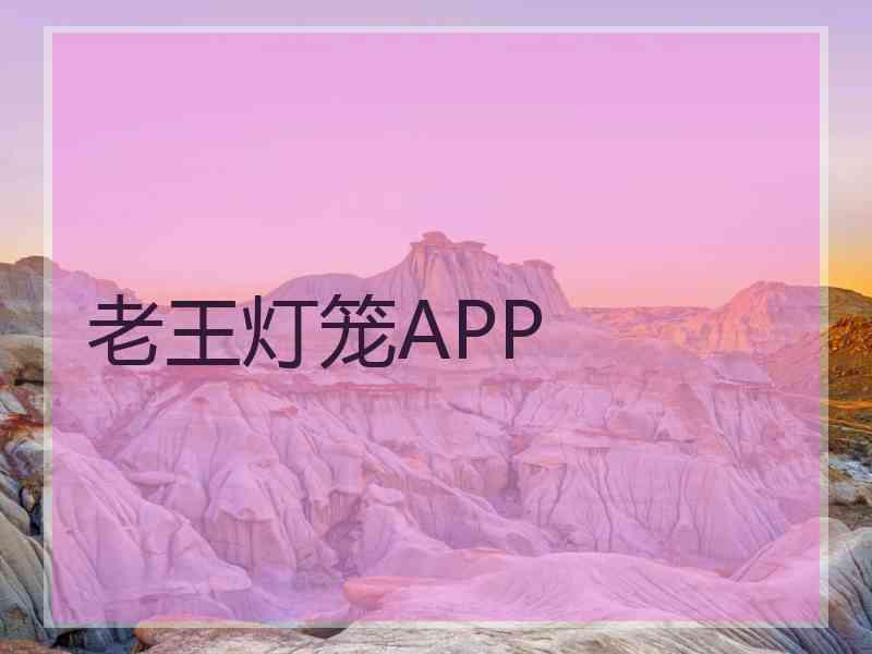 老王灯笼APP
