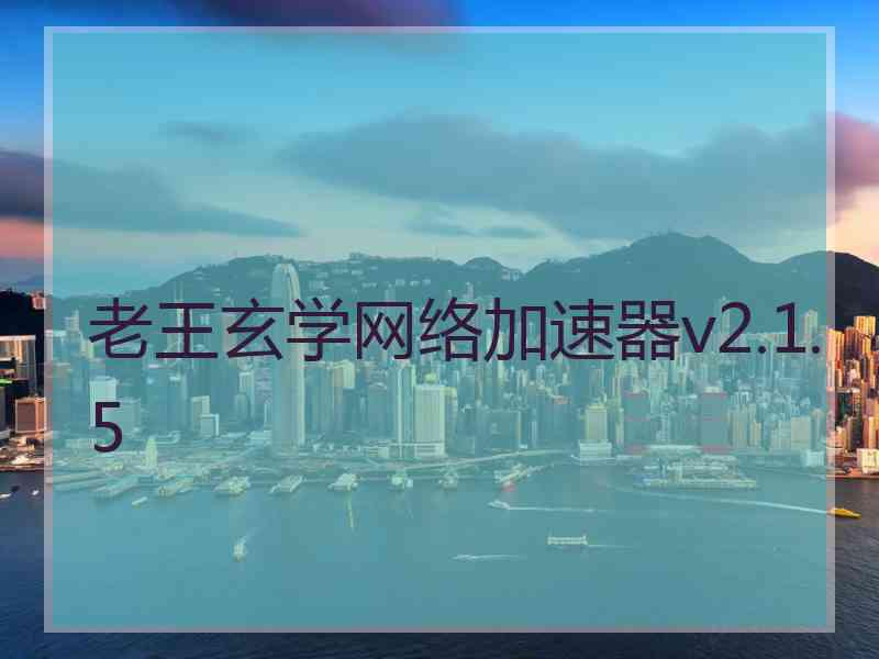 老王玄学网络加速器v2.1.5