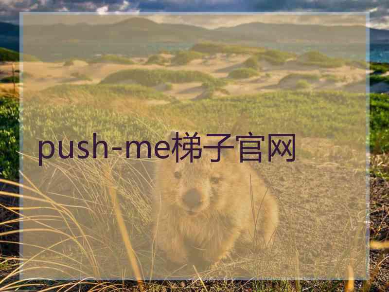 push-me梯子官网