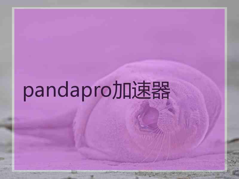 pandapro加速器
