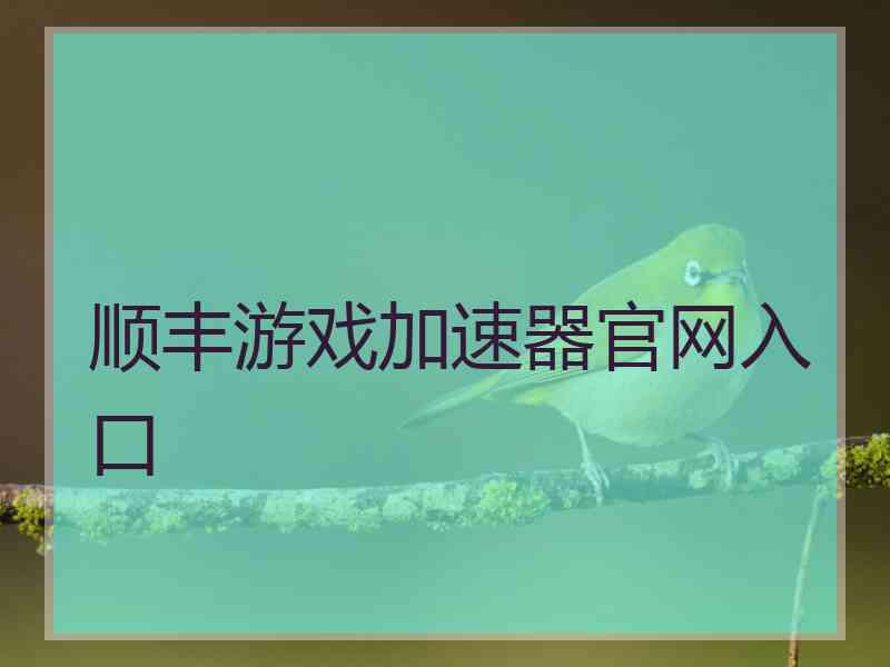 顺丰游戏加速器官网入口