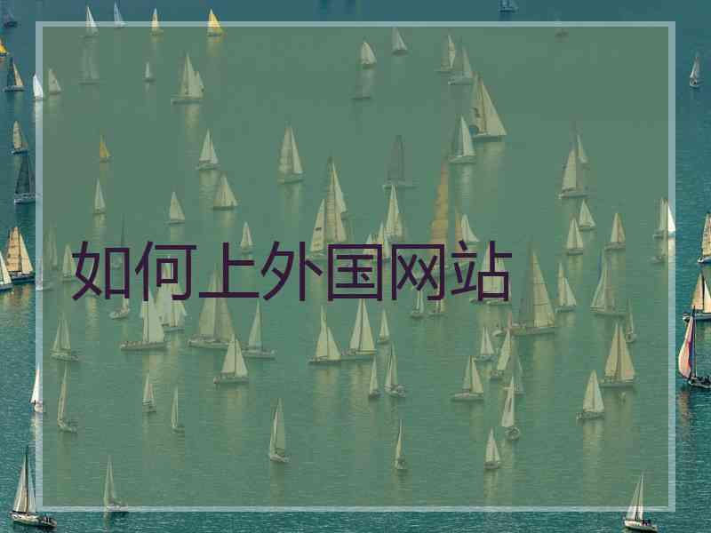 如何上外国网站