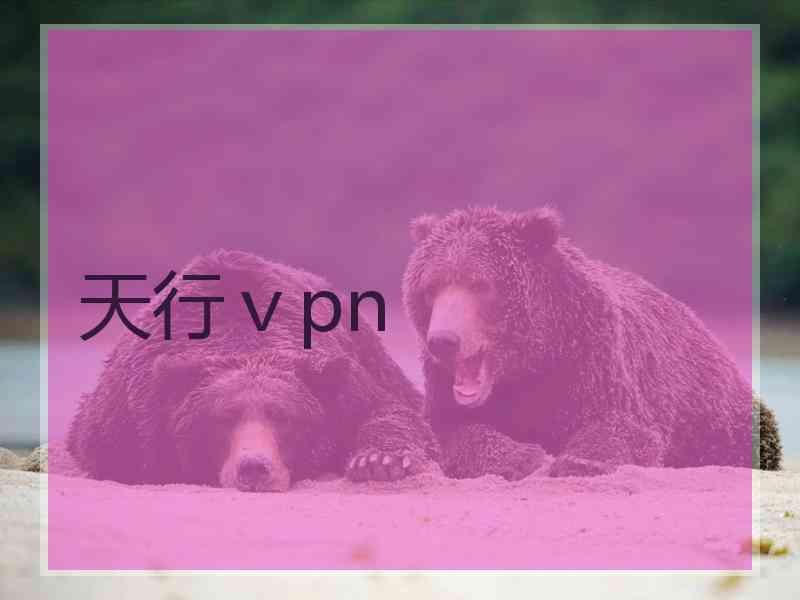 天行ⅴpn