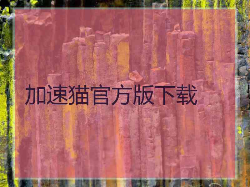 加速猫官方版下载