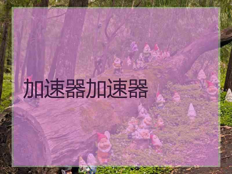 加速器加速器