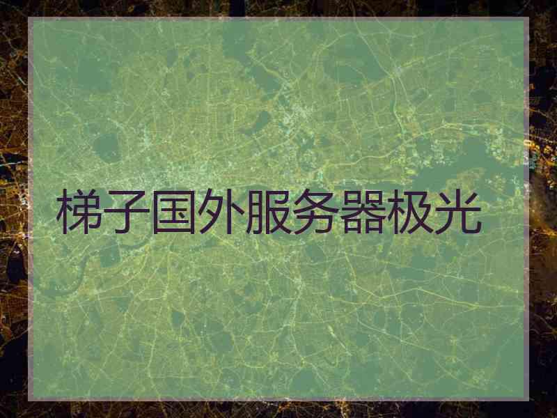 梯子国外服务器极光