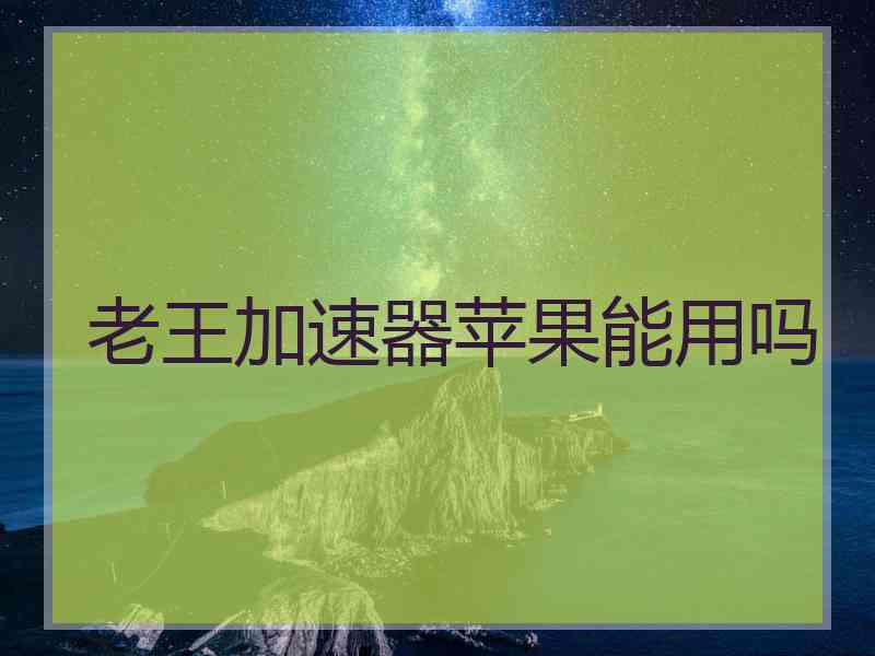 老王加速器苹果能用吗