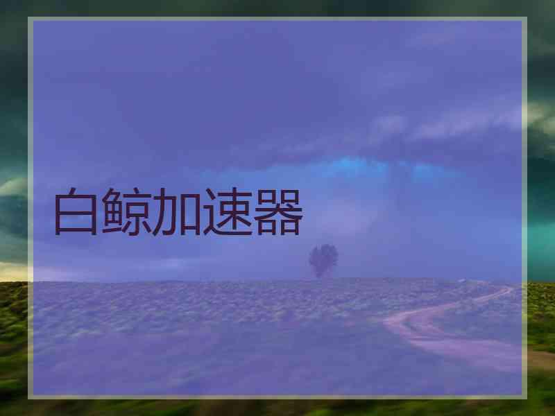 白鲸加速器