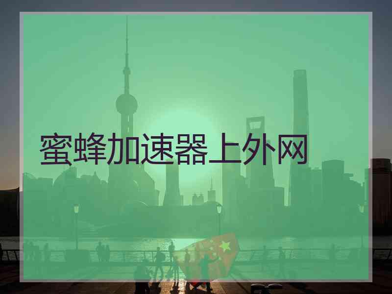 蜜蜂加速器上外网