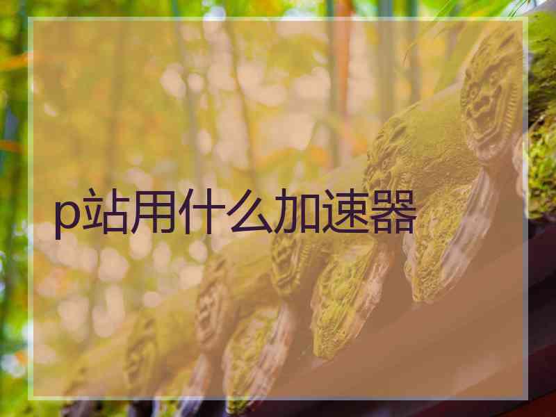 p站用什么加速器