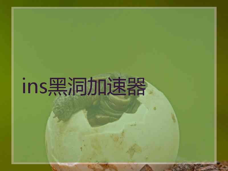 ins黑洞加速器