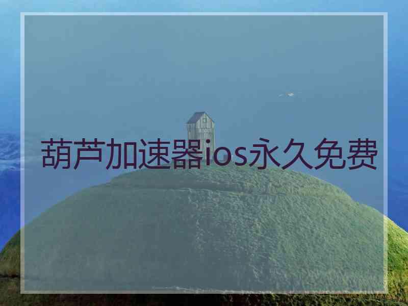 葫芦加速器ios永久免费