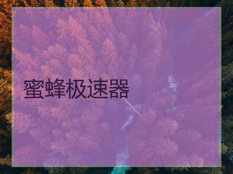 蜜蜂极速器