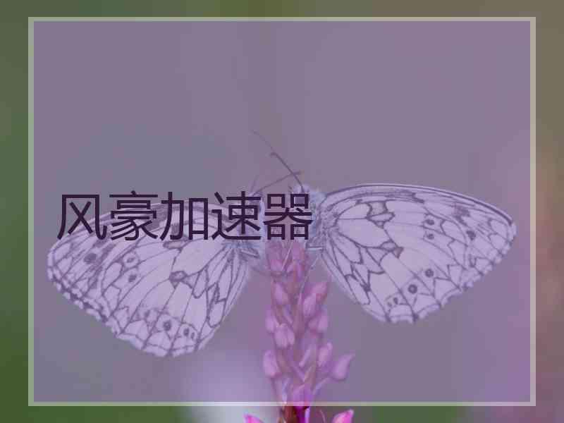风豪加速器
