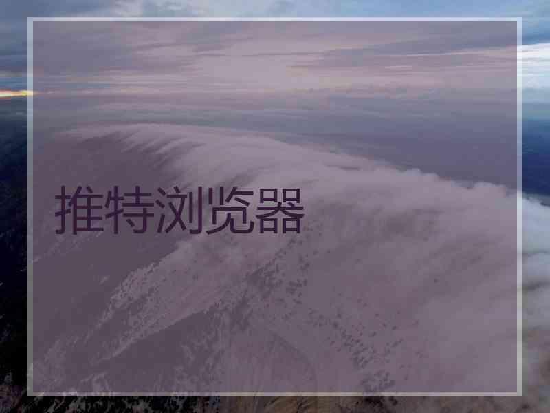 推特浏览器