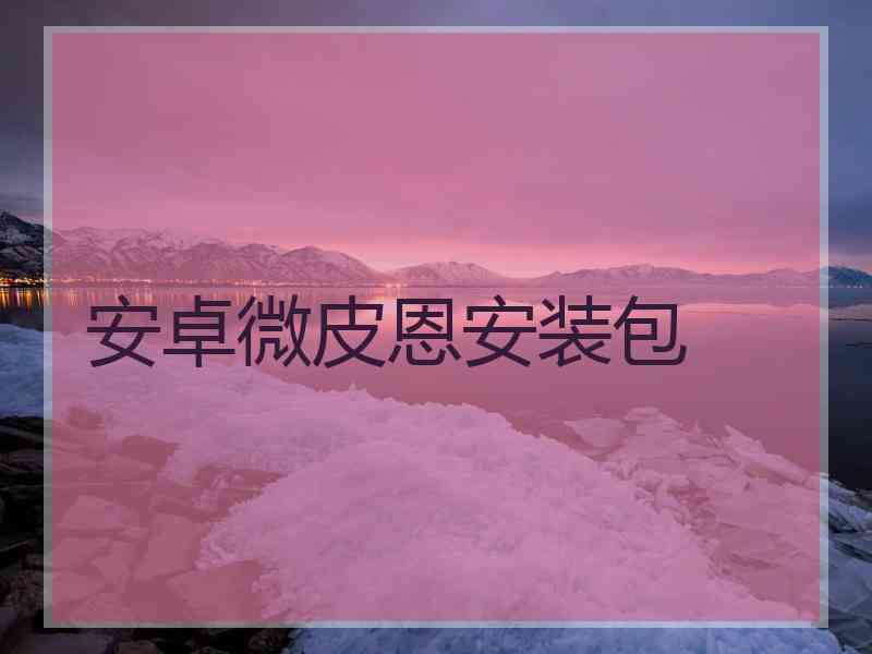 安卓微皮恩安装包