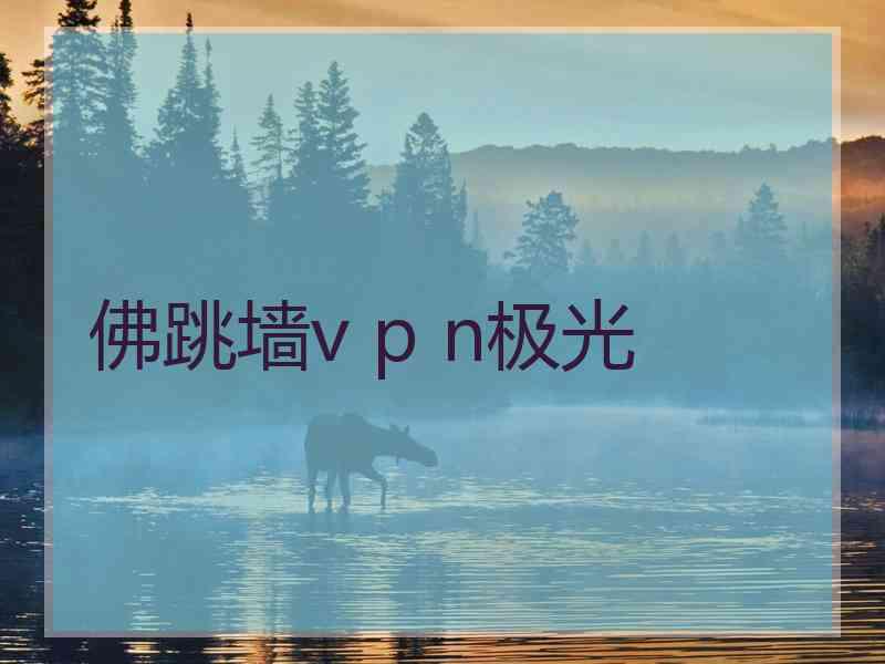 佛跳墙v p n极光