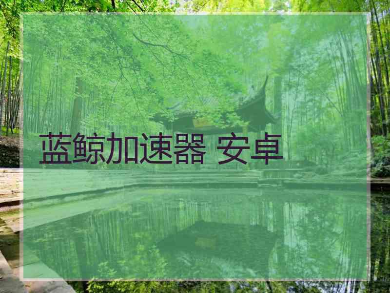 蓝鲸加速器 安卓