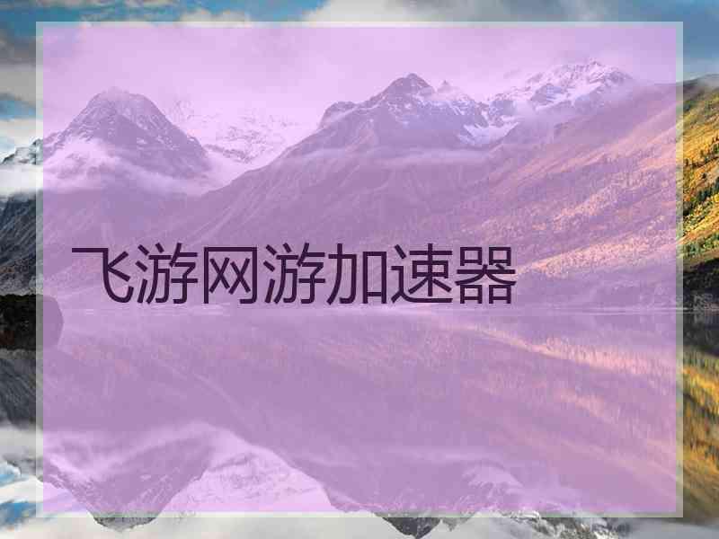飞游网游加速器