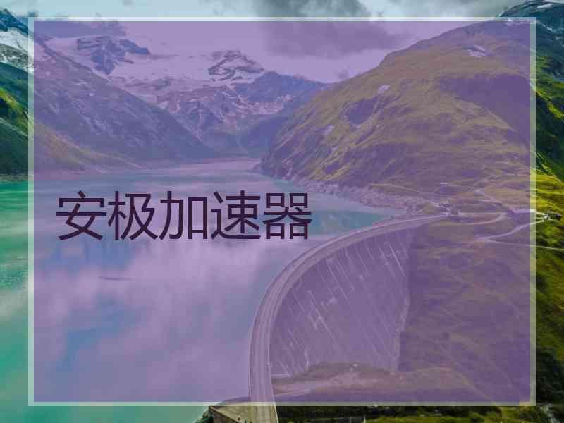 安极加速器