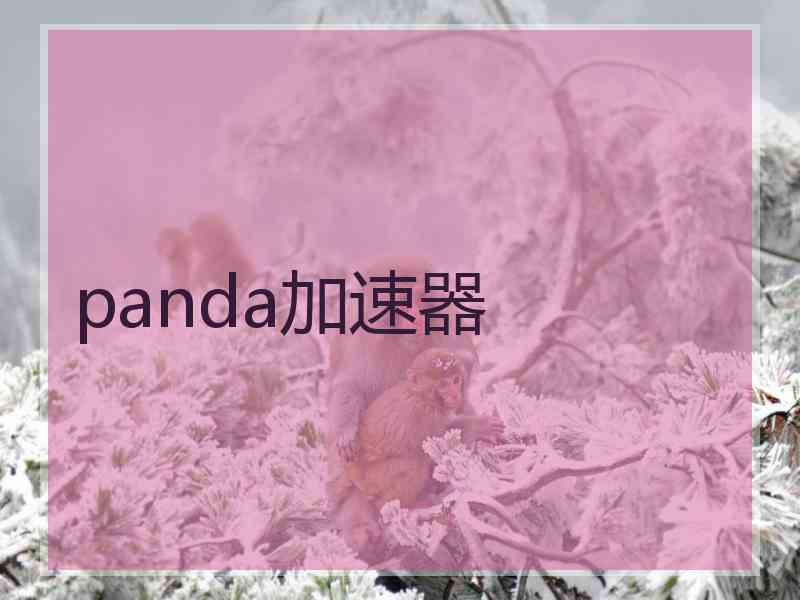 panda加速器