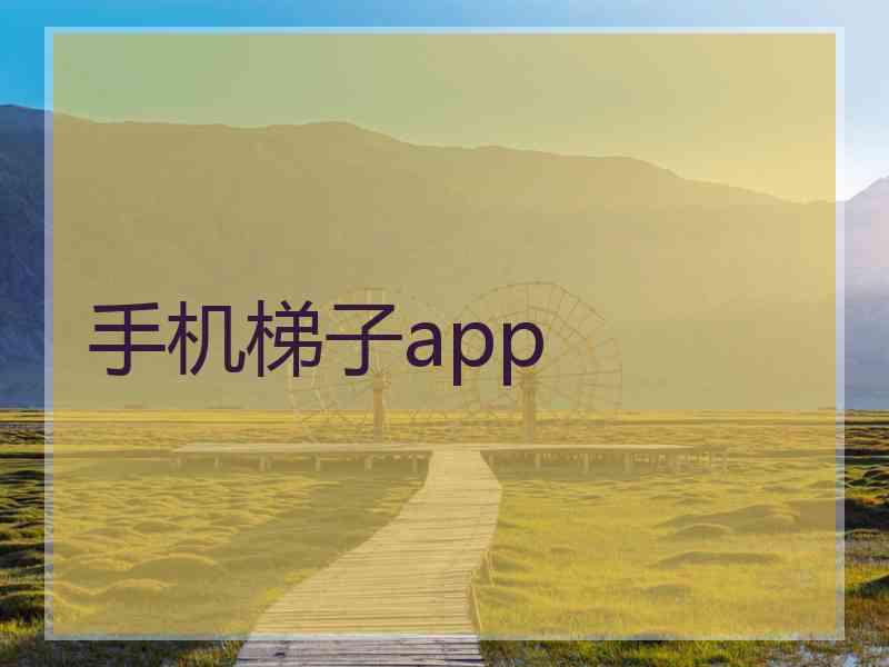 手机梯子app