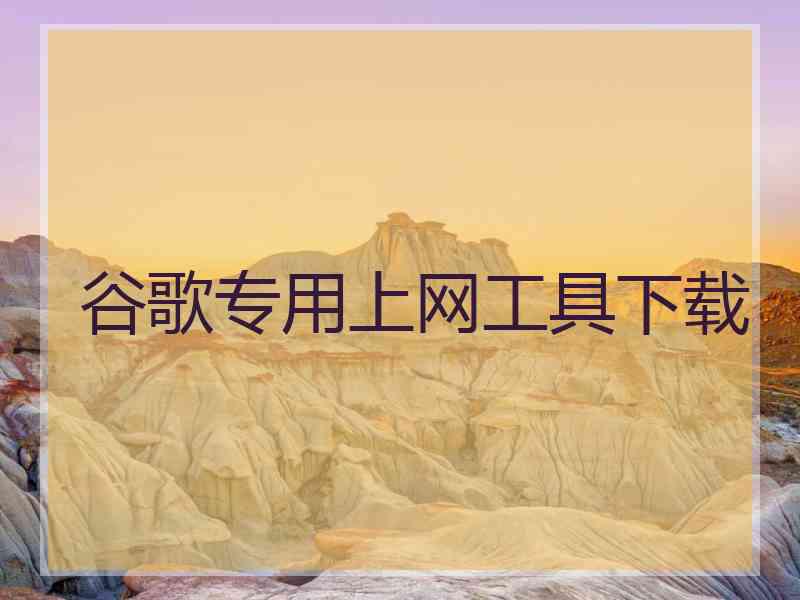 谷歌专用上网工具下载