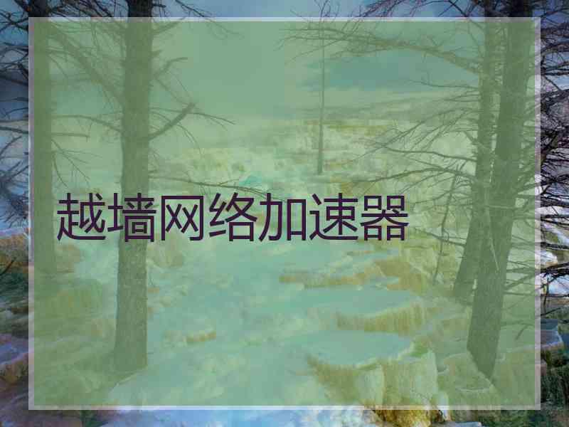 越墙网络加速器