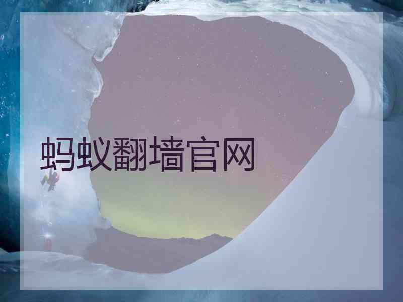 蚂蚁翻墙官网