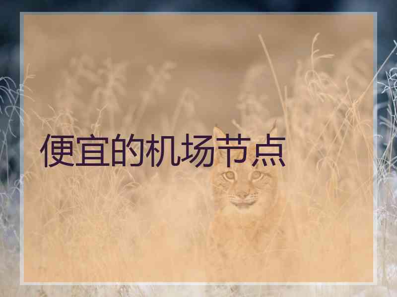 便宜的机场节点