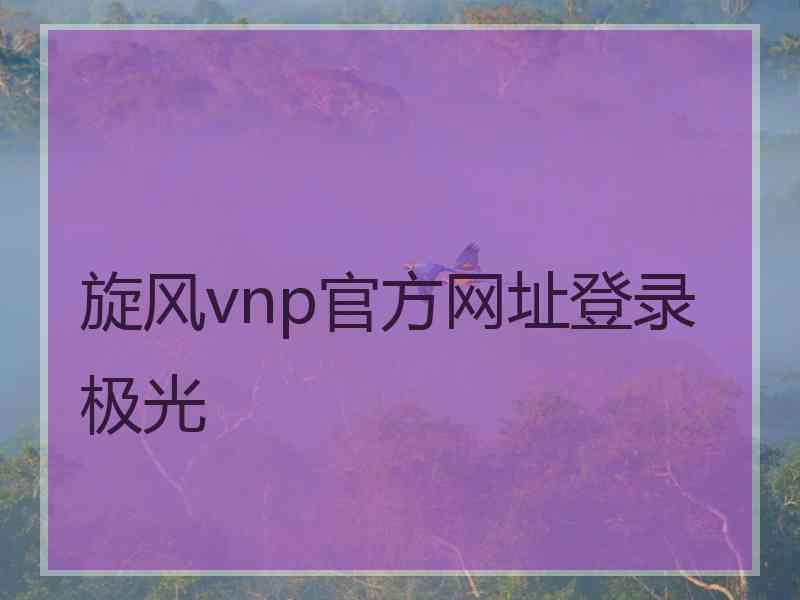 旋风vnp官方网址登录极光
