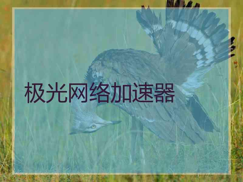 极光网络加速器