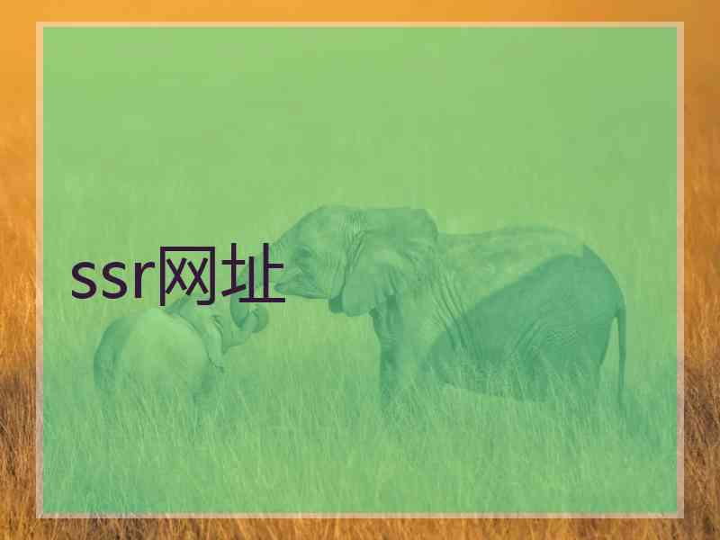 ssr网址