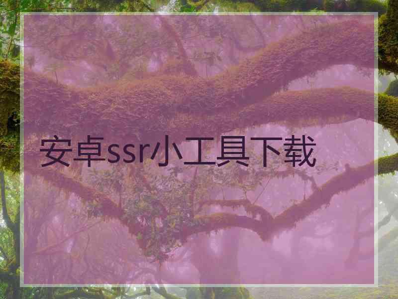 安卓ssr小工具下载