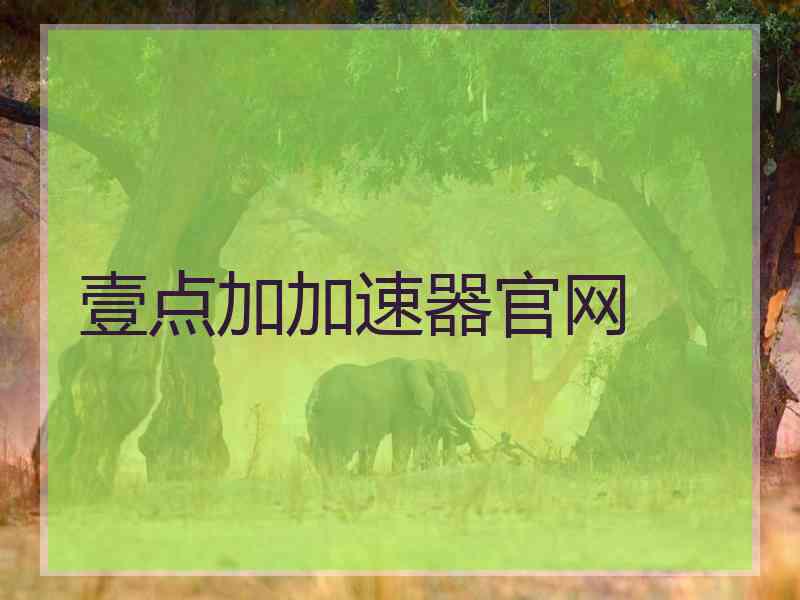 壹点加加速器官网