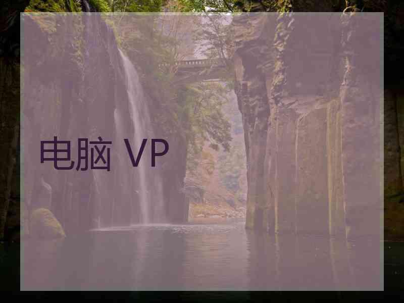 电脑 VP