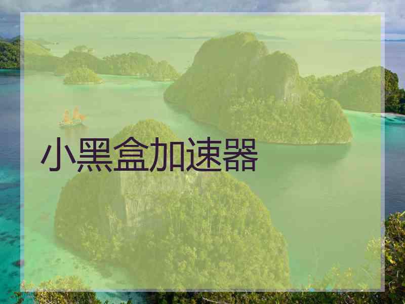 小黑盒加速器