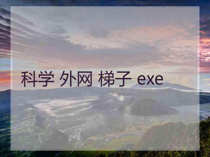 科学 外网 梯子 exe