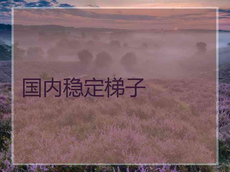 国内稳定梯子