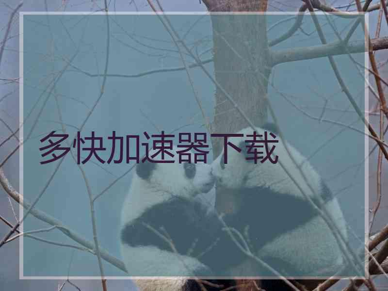 多快加速器下载