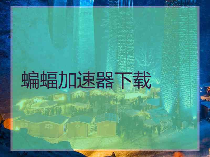蝙蝠加速器下载