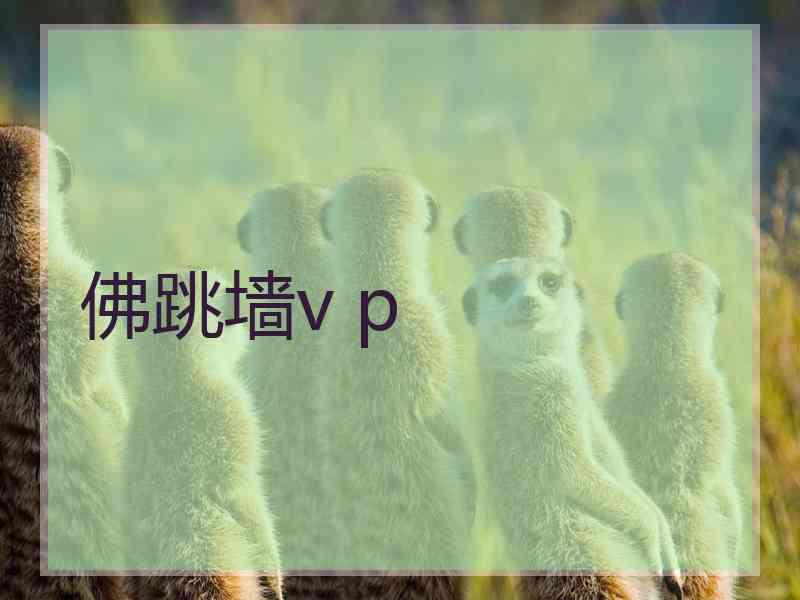 佛跳墙v p