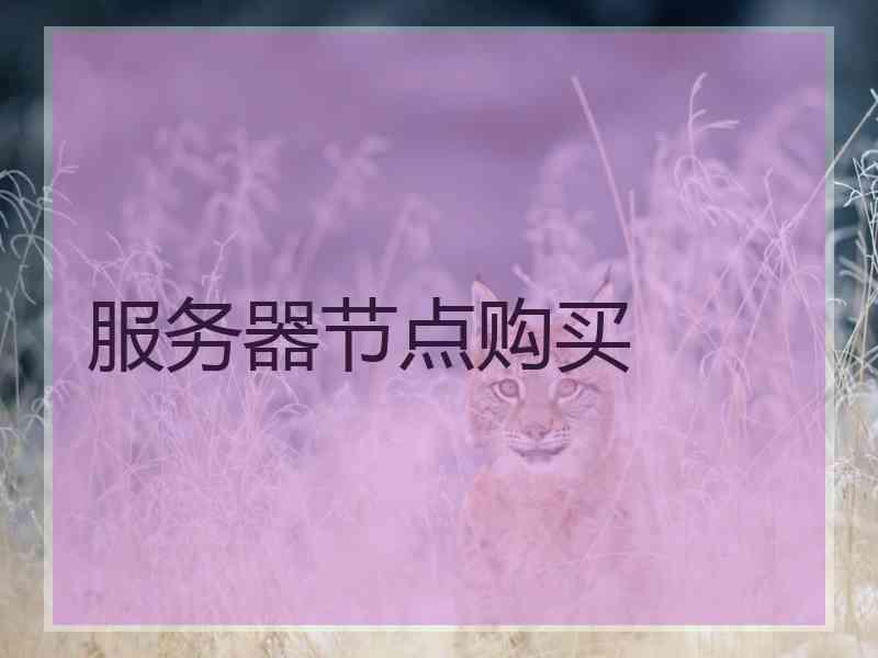 服务器节点购买