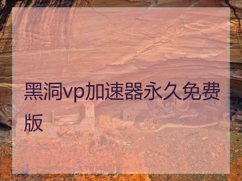 黑洞vp加速器永久免费版