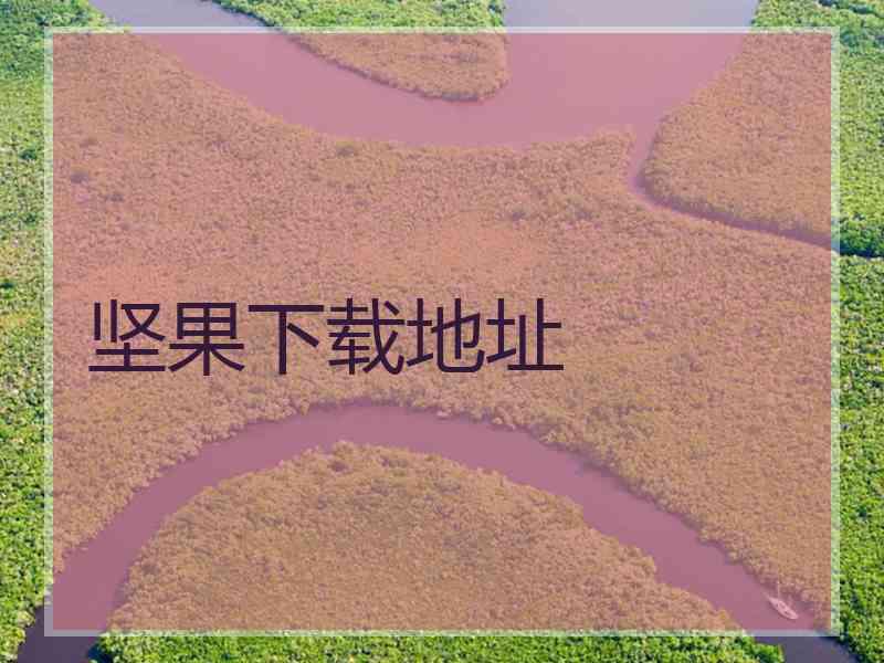 坚果下载地址