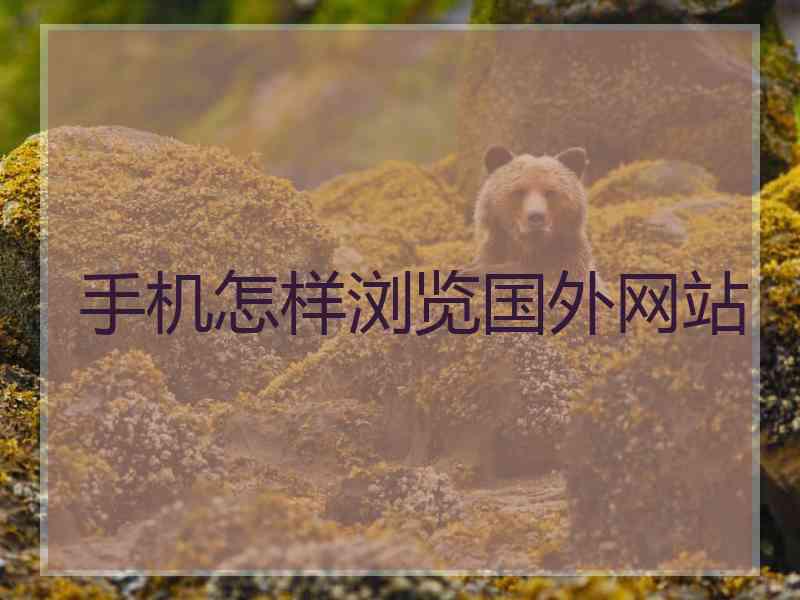 手机怎样浏览国外网站
