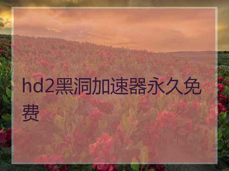 hd2黑洞加速器永久免费