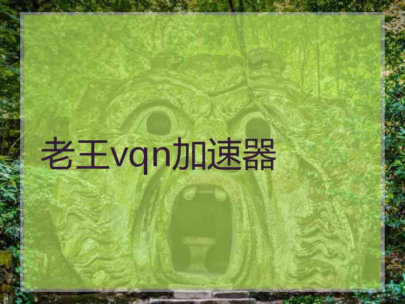 老王vqn加速器