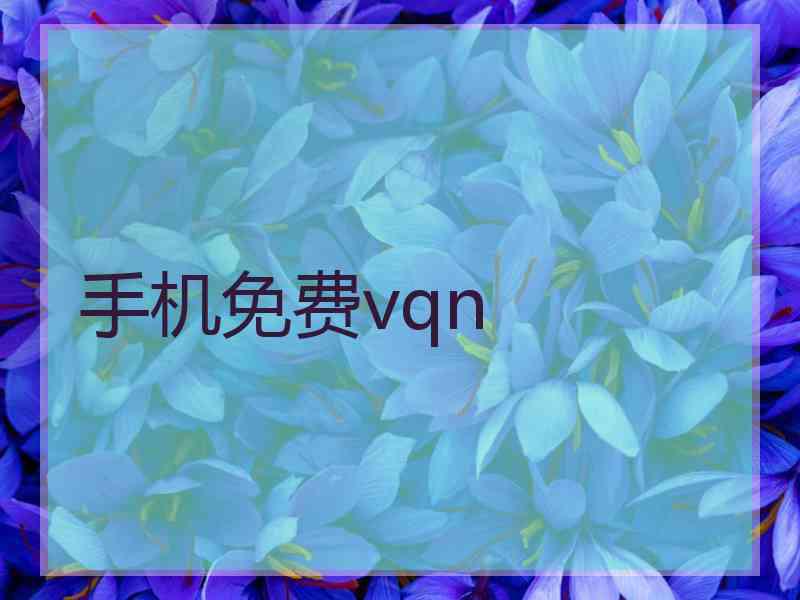 手机免费vqn