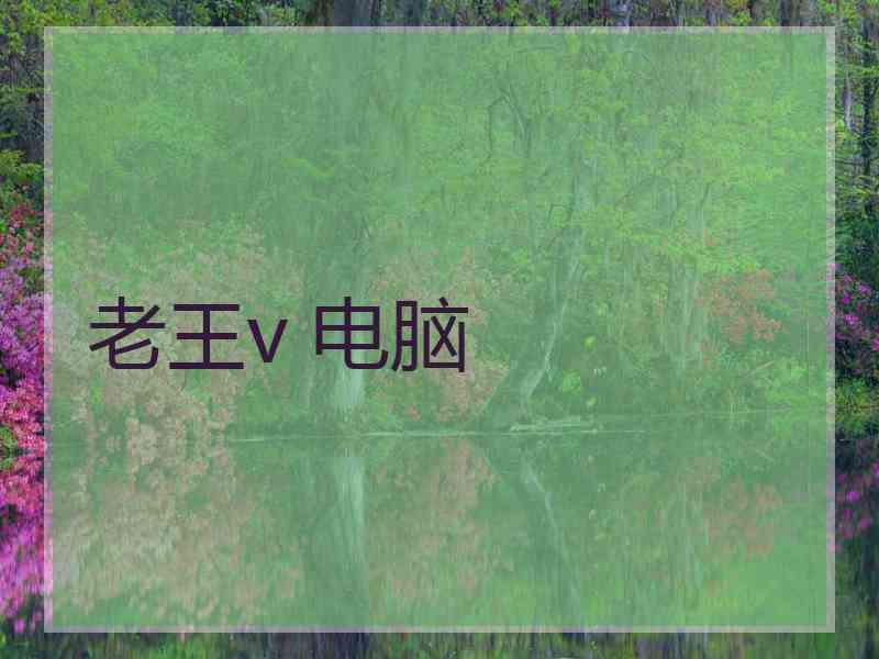 老王v 电脑